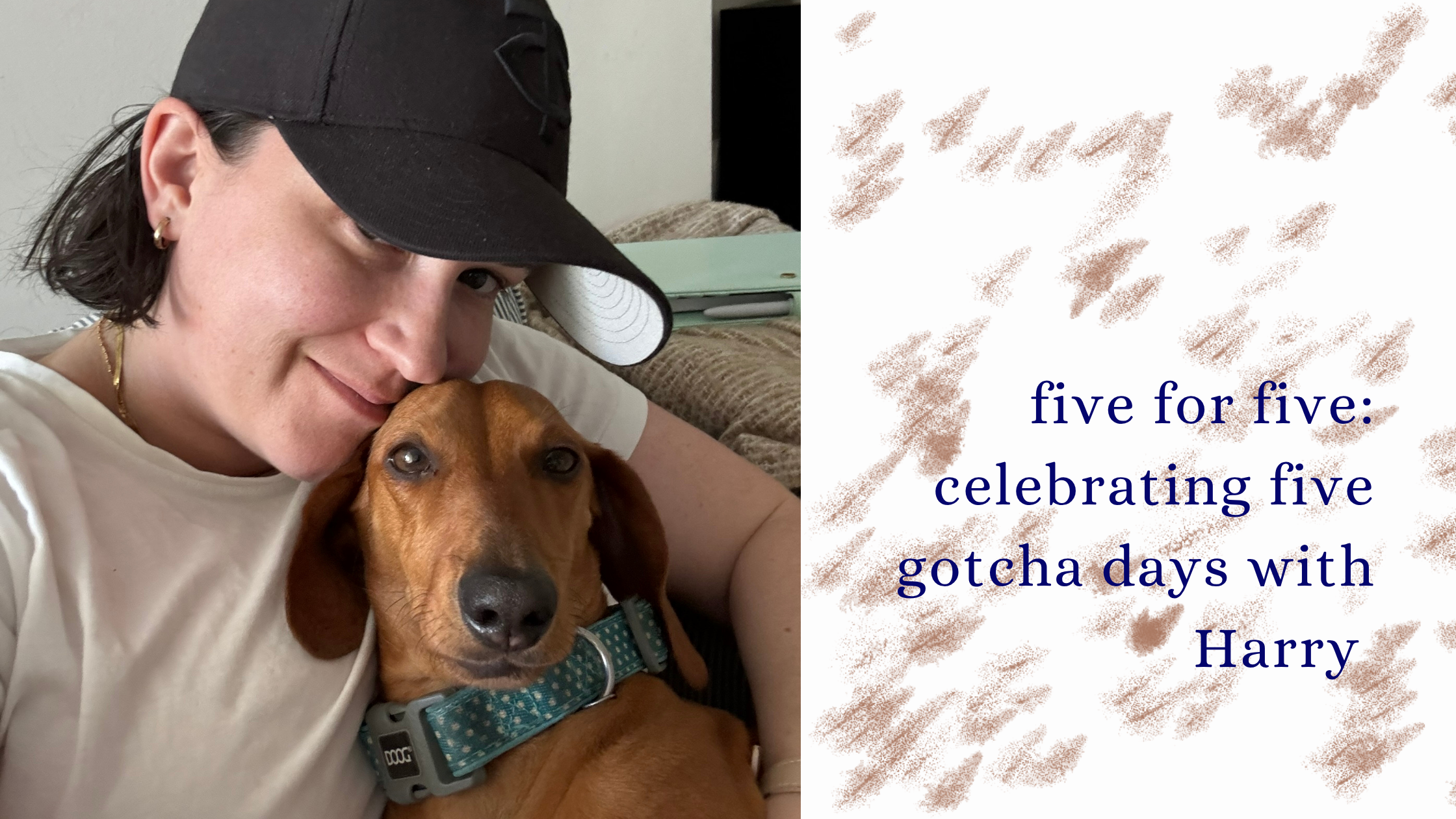 five for five: five gotcha days with Harry