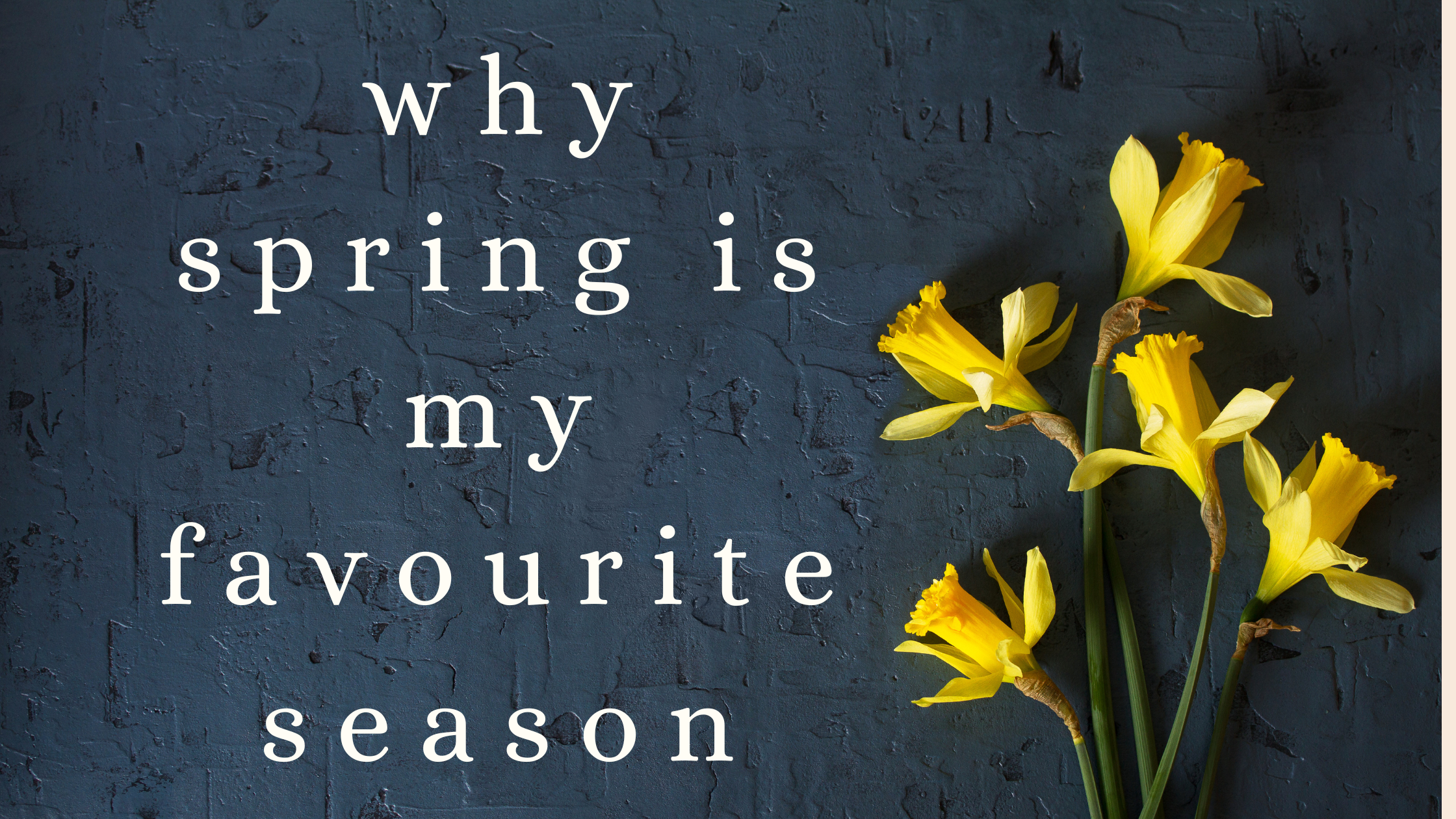 why spring is my favourite season
