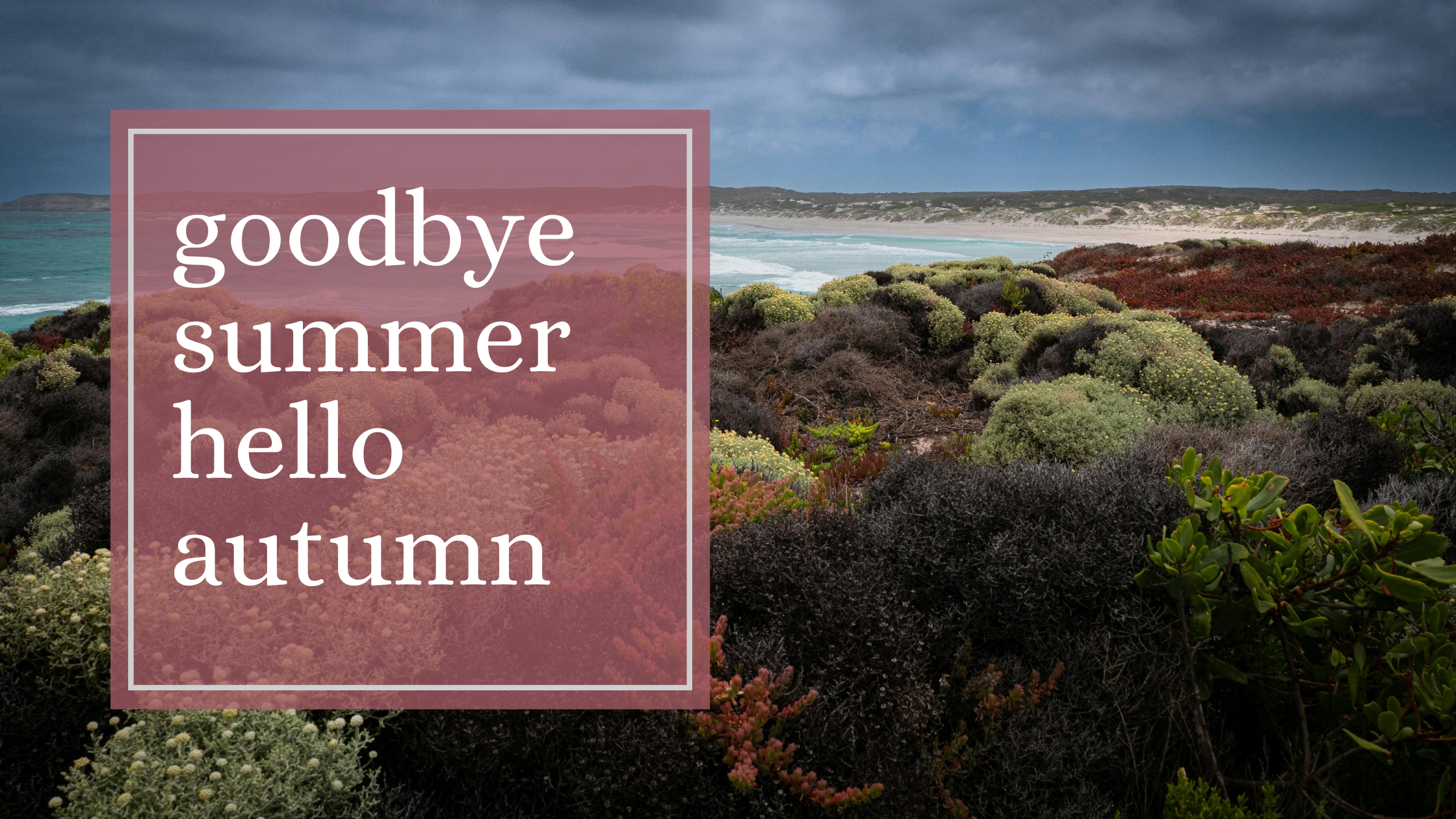 Goodbye Summer Hello Autumn